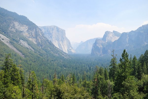 California