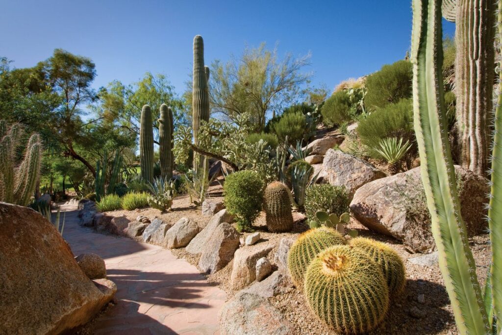 The Canyon Suites at The Phoenician Spa Hotel