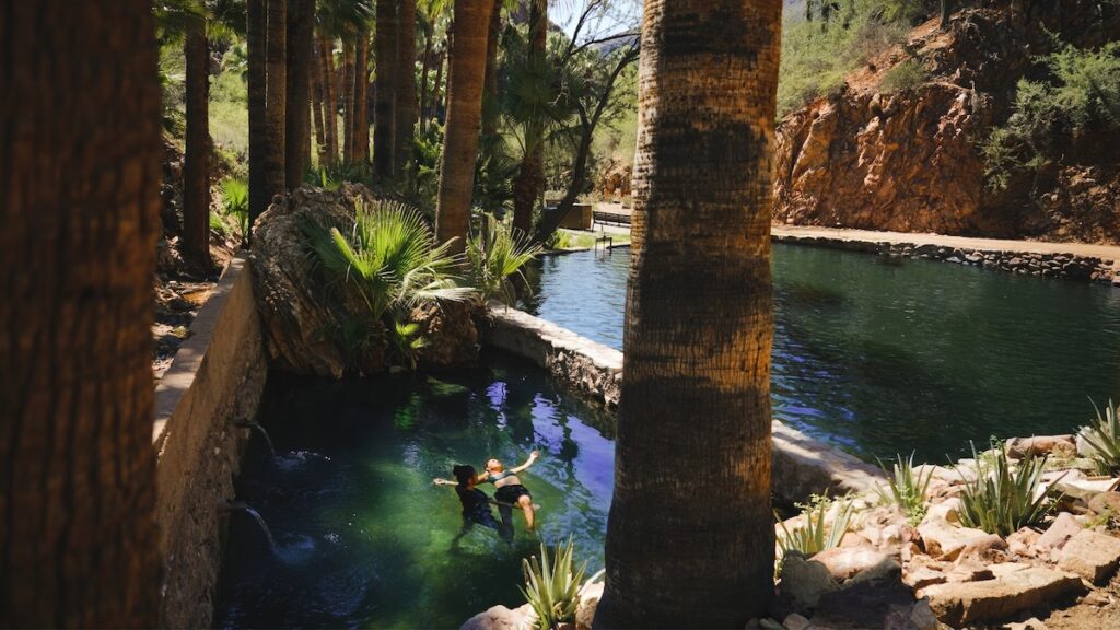 Natural mineral hot spring pool set between canyon rock walls and tall palm trees at Castle Hot Springs, Morristown
