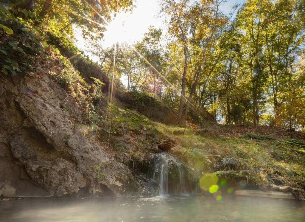 A steaming thermal cascade tumbling over tufa rock in the forest at Hot Springs National Park, Arkansas